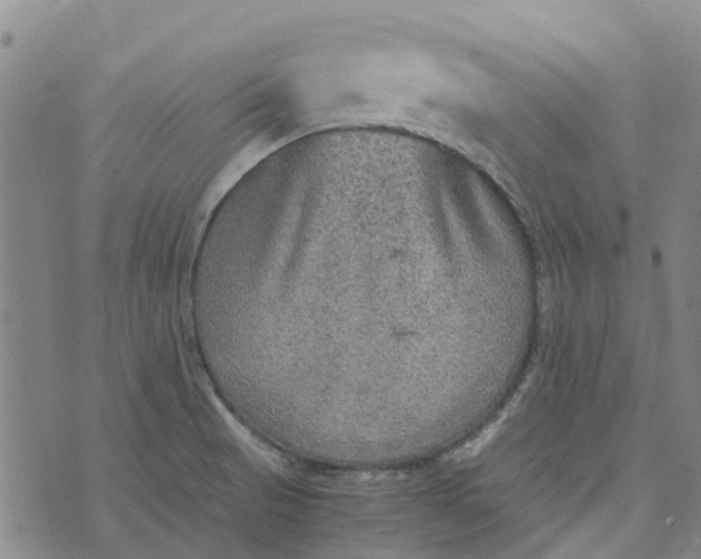 X0000076351521200610161746