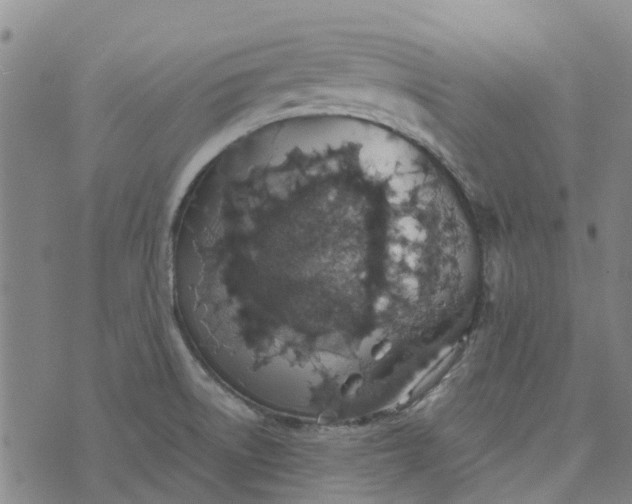 X0000076351522200610161746