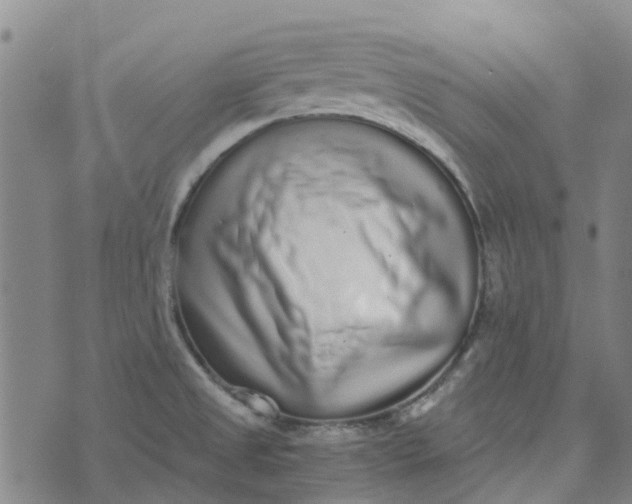 X0000076351525200610161746