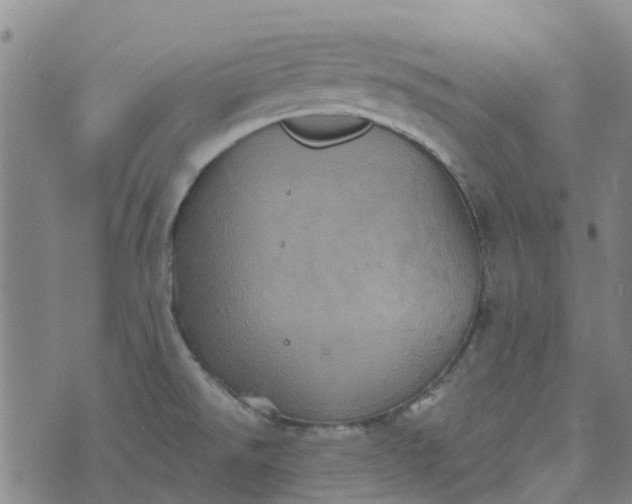 X0000076351526200610161746