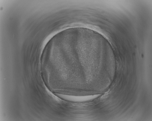 X0000076351527200610161746