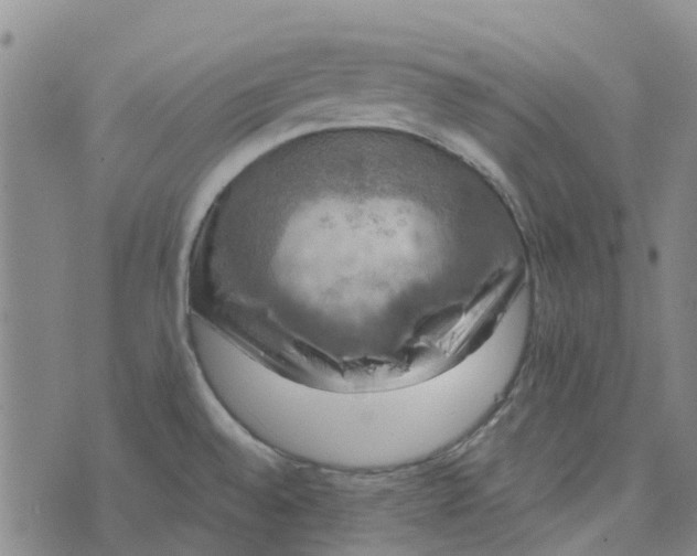 X0000076351528200610161746