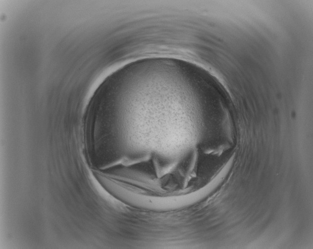 X0000076351531200610161746