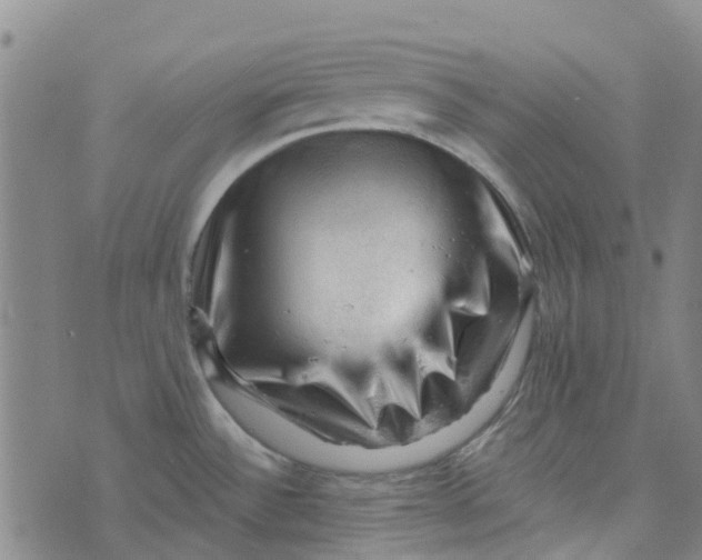 X0000076351532200610161746