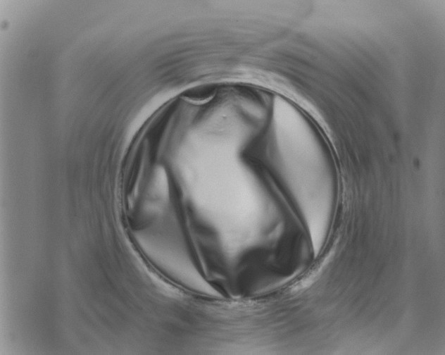 X0000076351533200610161746