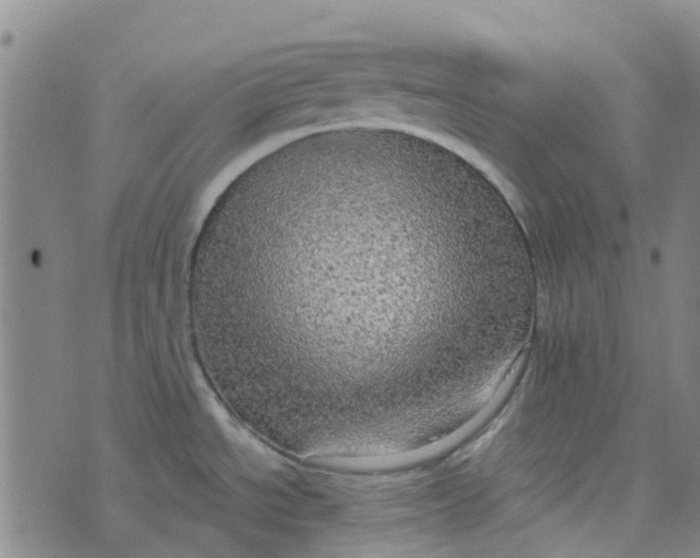 X0000076351534200610161746