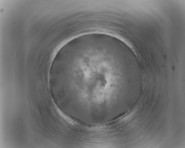 X0000076351535200610161746