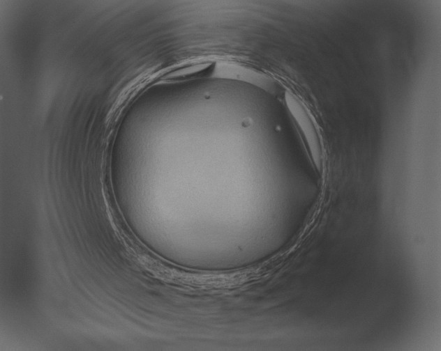 X0000076350001200610201812