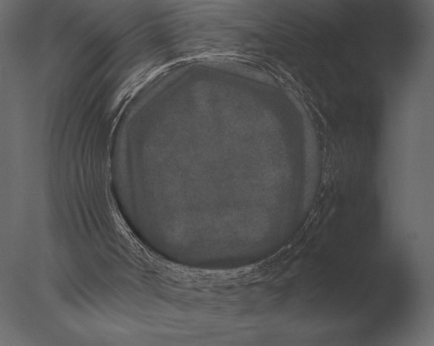 X0000076350002200610201812