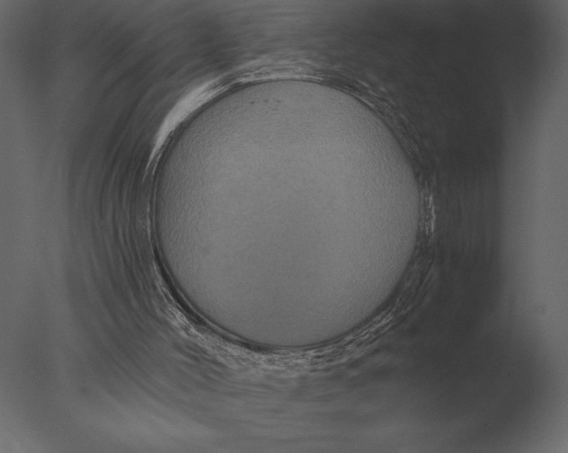 X0000076350004200610201812