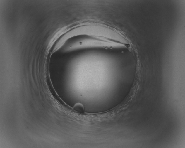 X0000076350007200610201812