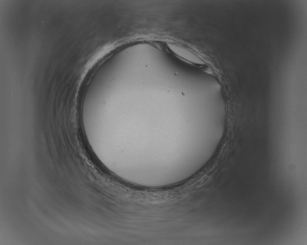 X0000076350008200610201812