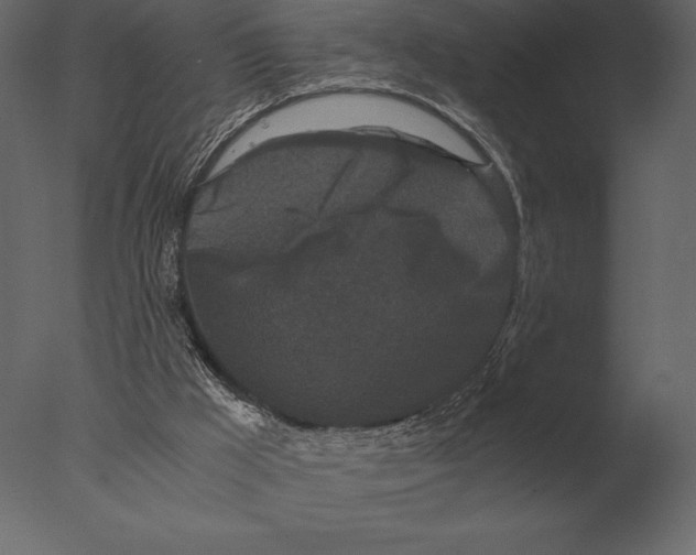 X0000076350009200610201812