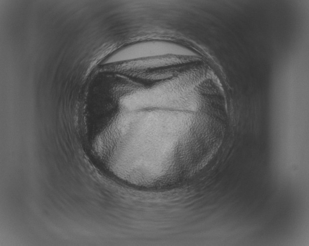 X0000076350010200610201812