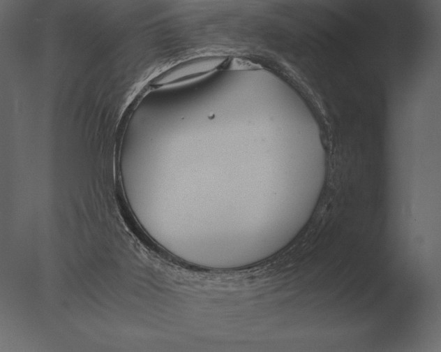 X0000076350011200610201812