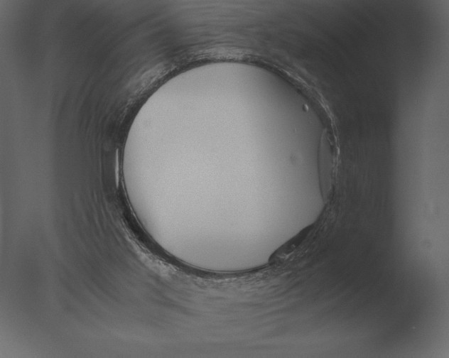 X0000076350013200610201812