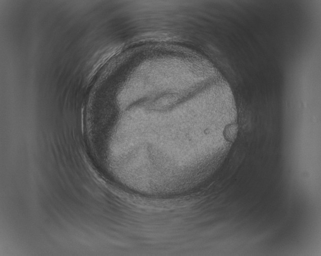 X0000076350014200610201812