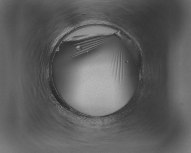 X0000076350015200610201812