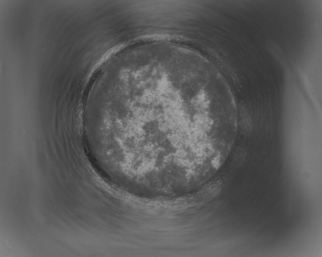 X0000076350016200610201812