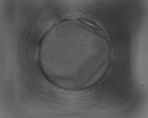 X0000076350018200610201812