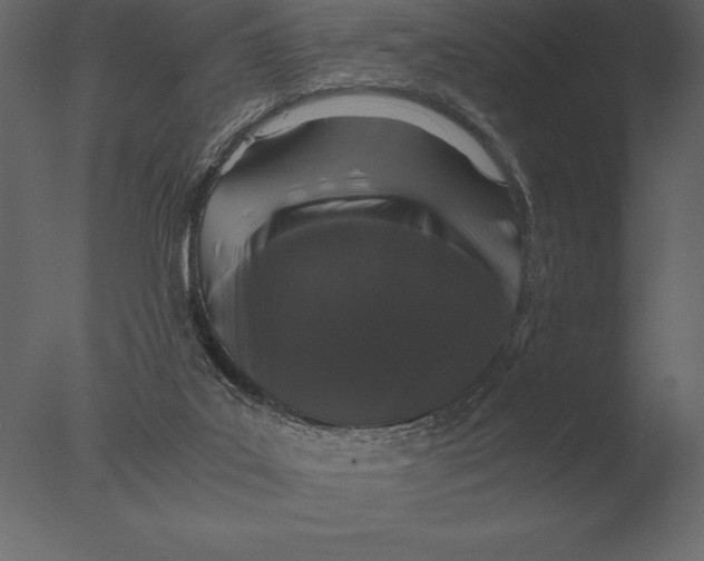 X0000076350019200610201812