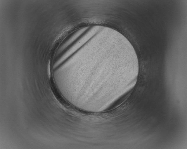 X0000076350020200610201812