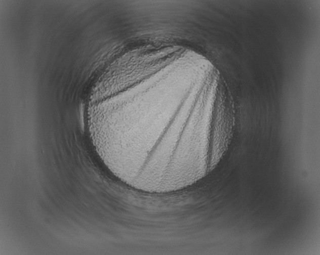 X0000076350022200610201812