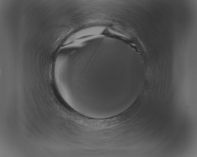 X0000076350023200610201812