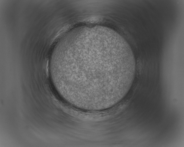 X0000076350024200610201812