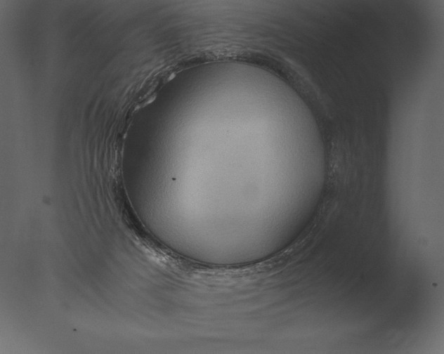 X0000076350025200610201812