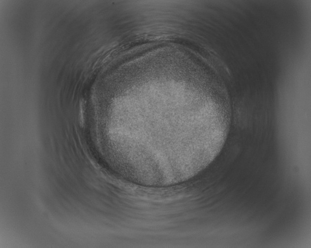 X0000076350026200610201812