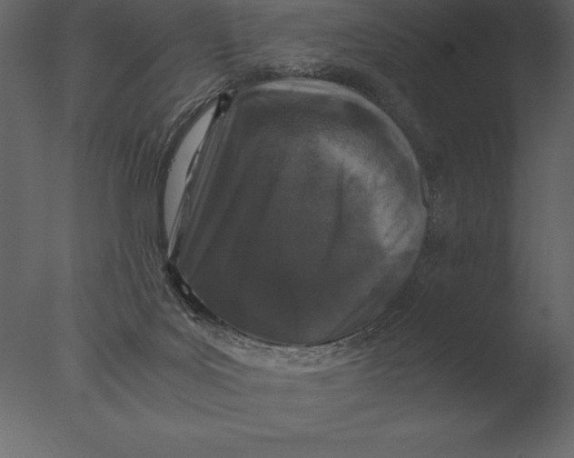 X0000076350027200610201812