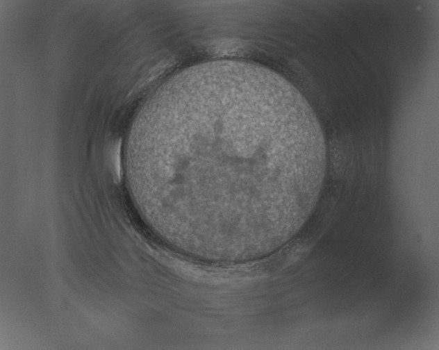 X0000076350028200610201812