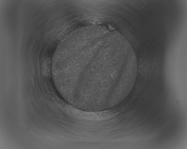 X0000076350030200610201812