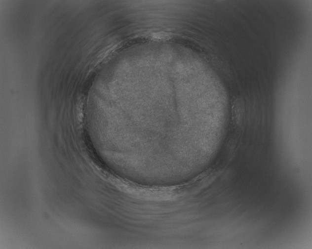 X0000076350032200610201812