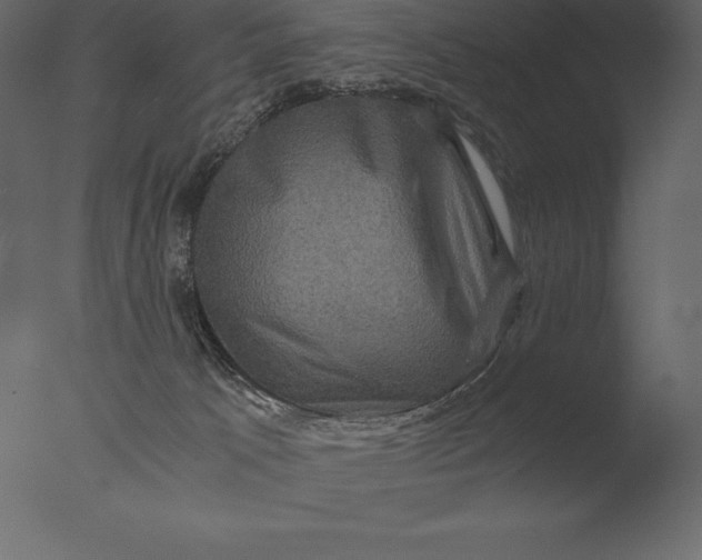 X0000076350033200610201812