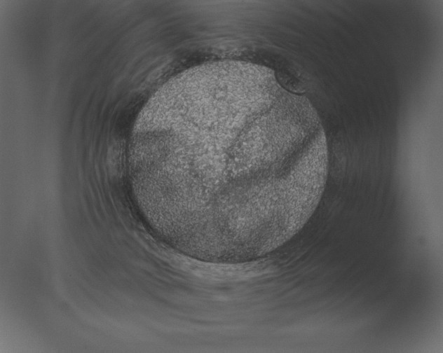 X0000076350034200610201812