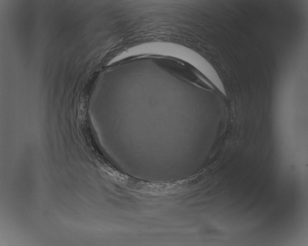 X0000076350037200610201812