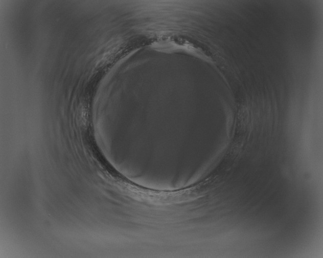 X0000076350039200610201812