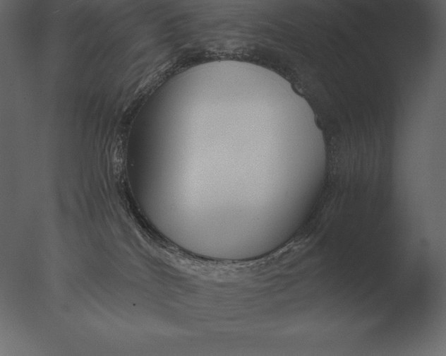 X0000076350040200610201812