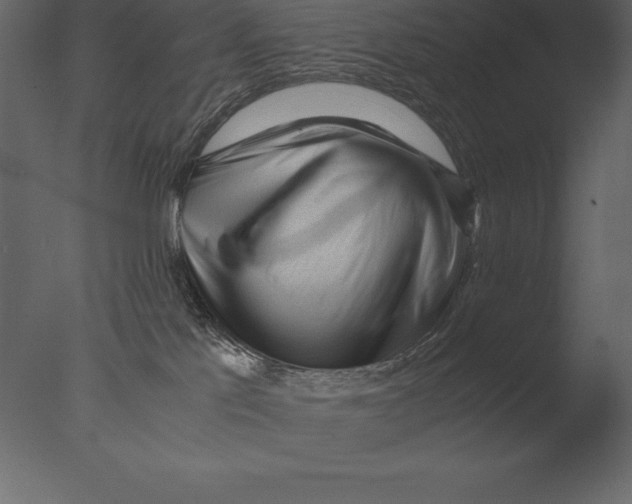 X0000076350041200610201812