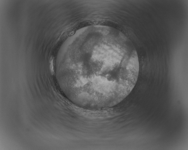 X0000076350042200610201812