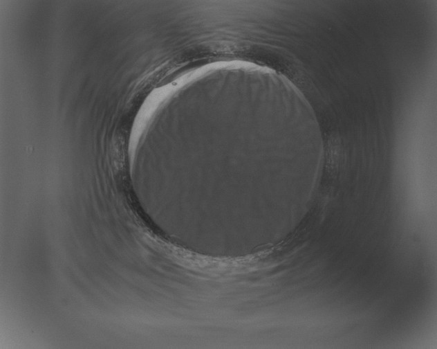 X0000076350043200610201812