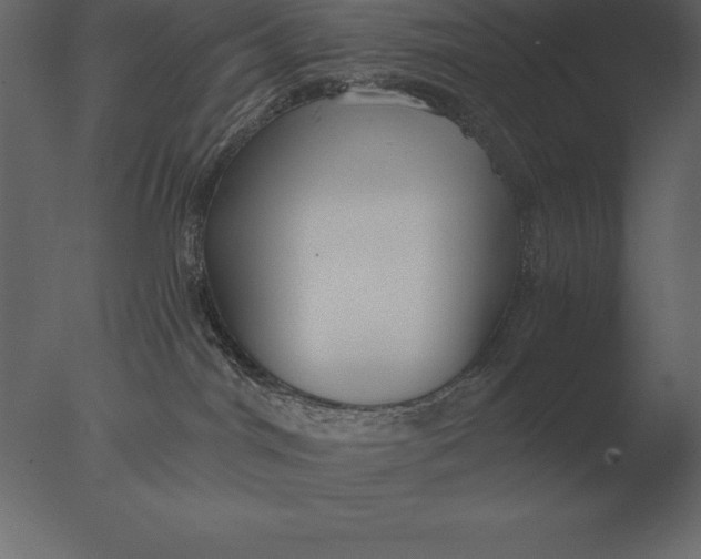 X0000076350044200610201812