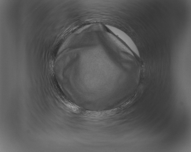 X0000076350045200610201812