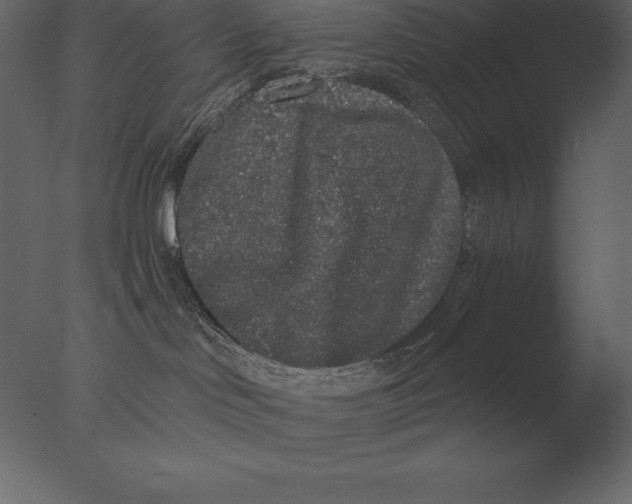 X0000076350046200610201812