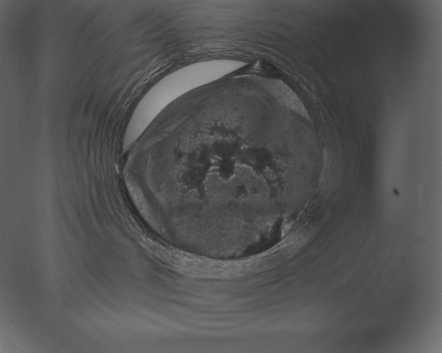 X0000076350048200610201811