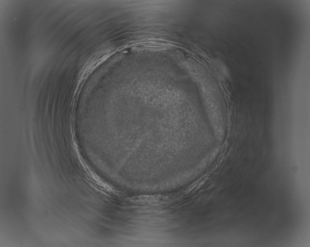 X0000076350049200610201811