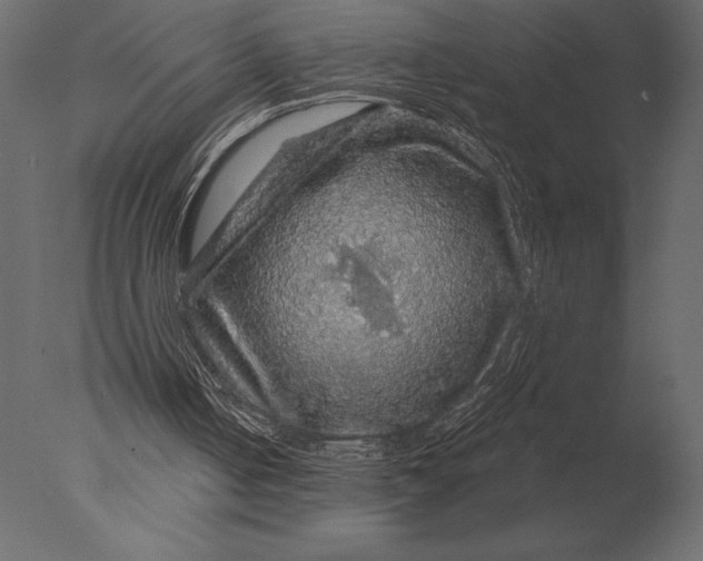 X0000076350050200610201811