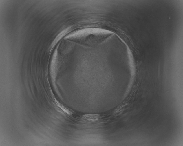 X0000076350051200610201811